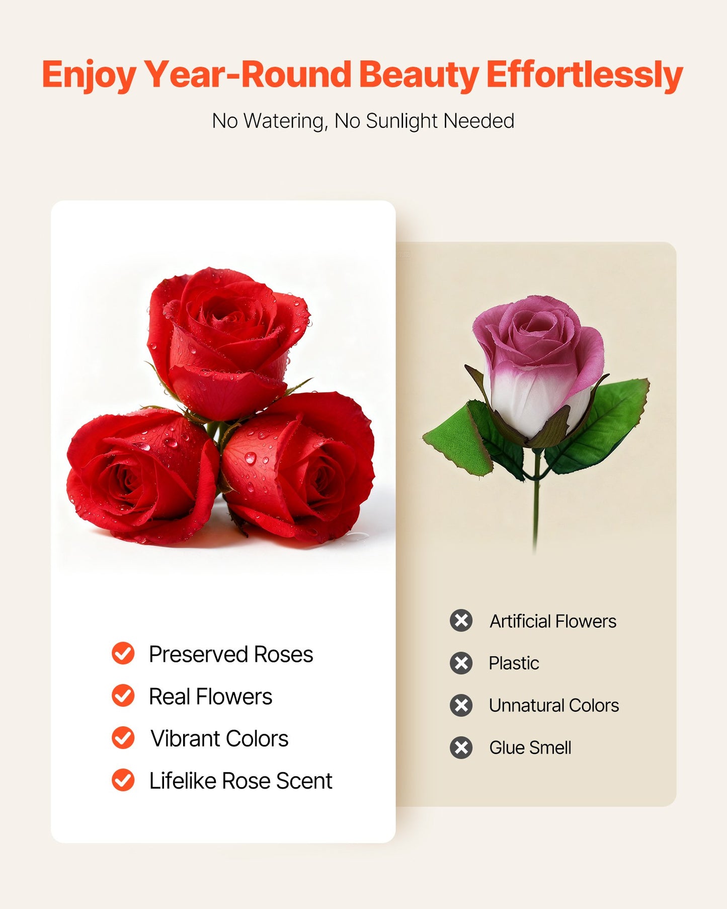 Forever Flowers Preserved Roses Gift | 100 Preserved Roses in Keepsake Box | Anniversary, Mother's Day, Valentine's Gift | Lasts 3+ Years