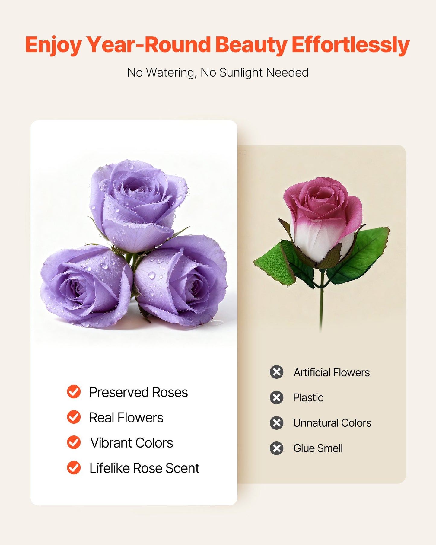 Forever Flowers Preserved Roses Gift | 50 Roses in Round Box | Anniversary, Mother's Day, Valentine's Gift | Lasts 3+ Years
