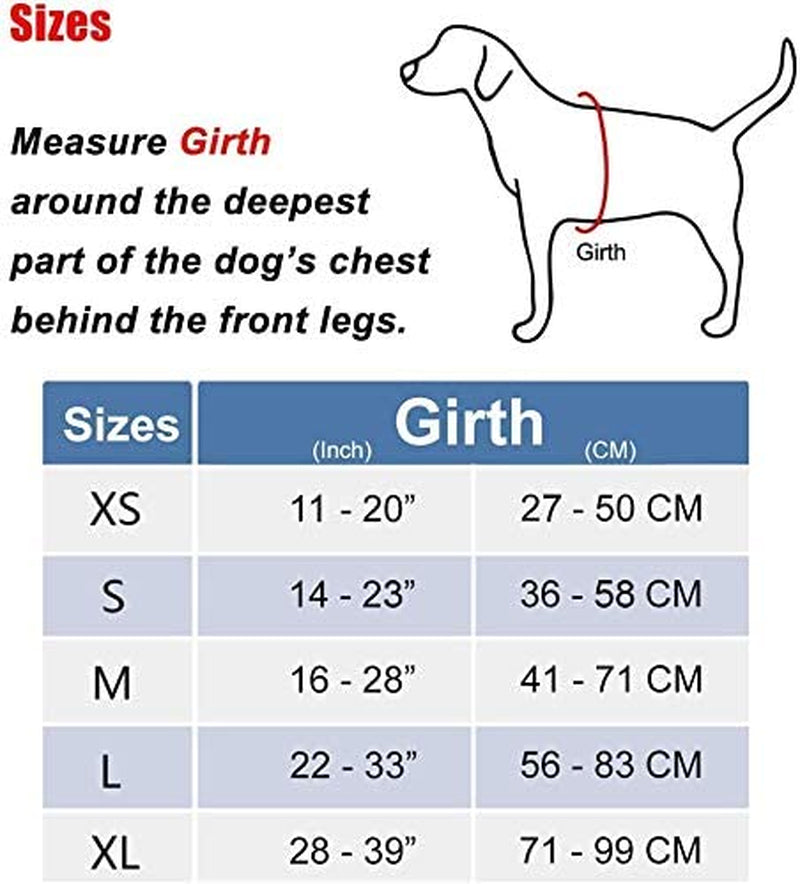 MEDIUM SIZE No Pull Dog Harness, Reflective Comfortable Vest Harness with Front & Back 2 Leash Attachments and Easy Control Handle Adjustable Soft Padded Pet Vest for Small Medium Large Dogs (Mint Blue,M)
