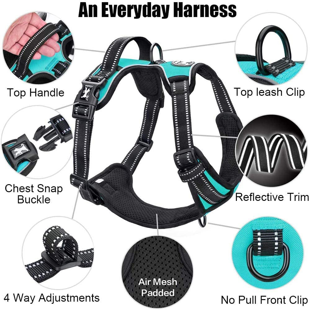 MEDIUM SIZE No Pull Dog Harness, Reflective Comfortable Vest Harness with Front & Back 2 Leash Attachments and Easy Control Handle Adjustable Soft Padded Pet Vest for Small Medium Large Dogs (Mint Blue,M)