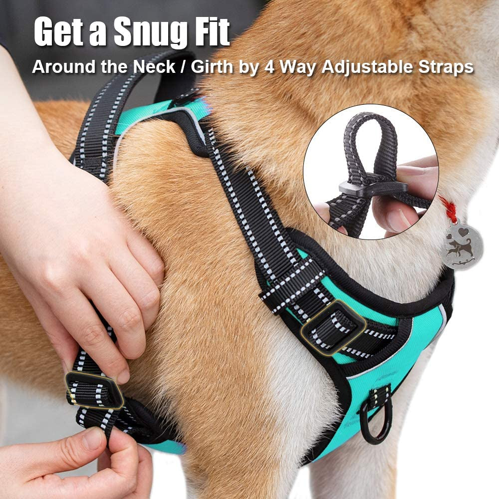 MEDIUM SIZE No Pull Dog Harness, Reflective Comfortable Vest Harness with Front & Back 2 Leash Attachments and Easy Control Handle Adjustable Soft Padded Pet Vest for Small Medium Large Dogs (Mint Blue,M)
