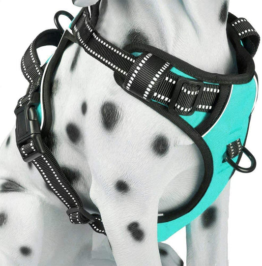 MEDIUM SIZE No Pull Dog Harness, Reflective Comfortable Vest Harness with Front & Back 2 Leash Attachments and Easy Control Handle Adjustable Soft Padded Pet Vest for Small Medium Large Dogs (Mint Blue,M)